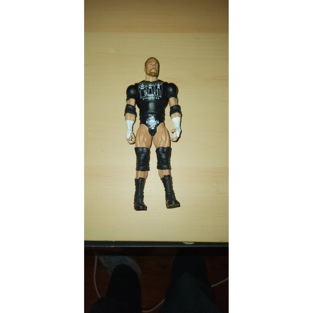 WWE Mattel Action Figure 2011 HHH Triple H Evolution Wrestling Basic series 5
